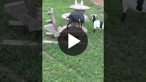 ▶ Watch the video
