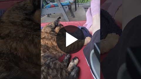 ▶ Watch the video