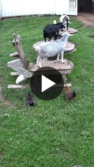 ▶ Watch the video
