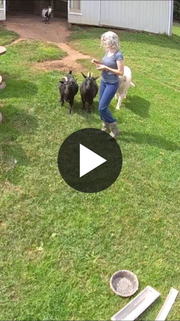 ▶ Watch the video