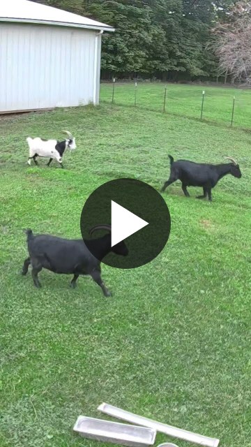 ▶ Watch the video