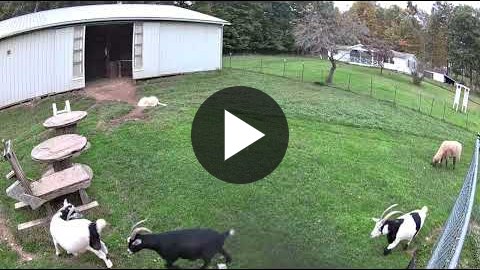 ▶ Watch the video