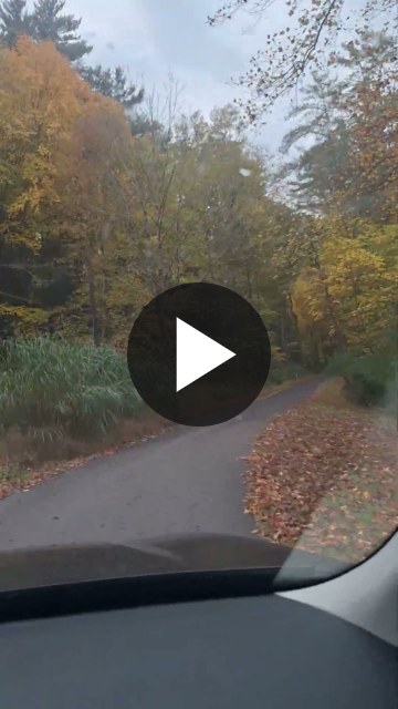 ▶ Watch the video