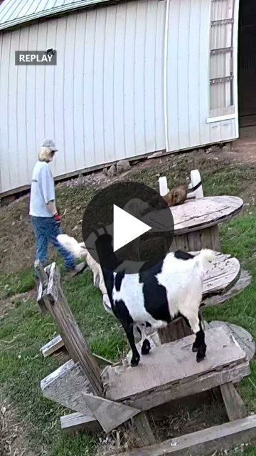 ▶ Watch the video